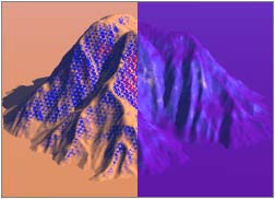 As above, but the flatter parts, including the ground and the top of the mountain, are the color that was black in the alpha (Orange for the Square, Purple for the Random)