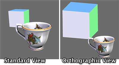 Standard View on Left, Orthogonal View on Right